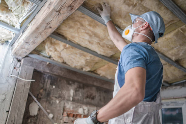 Best Insulation Maintenance and Repair in Emory, VA
